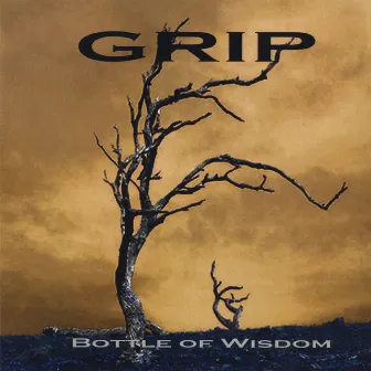 Bottle Of Wisdom by Grip