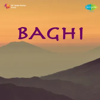 Baghi (Original Motion Picture Soundtrack) by Unknown Artist