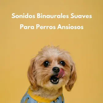 Sonidos Binaurales Suaves Para Perros Ansiosos by Ritmo binaural