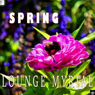 Spring by Lounge Myrial