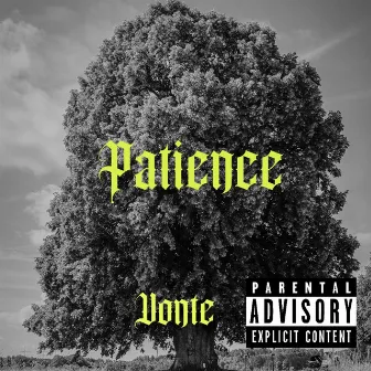 Patience by Vonte