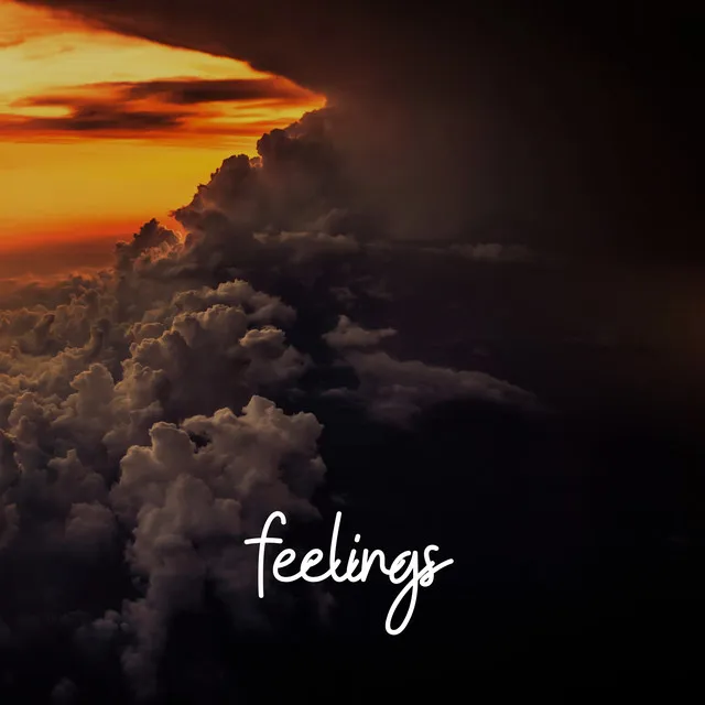 Feelings