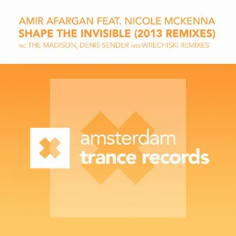 Shape The Invisible (2013 Remixes) by Amir Afargan