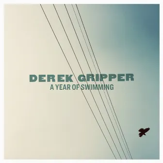 A Year of Swimming by Derek Gripper