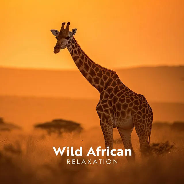 Wild African Relaxation: Inner Elightment and Relaxation