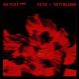 So Why (Eng Ver.) (feat. NewBlood) by NewBlood