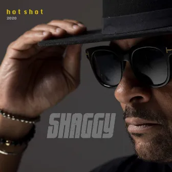 Hot Shot 2020 by Shaggy