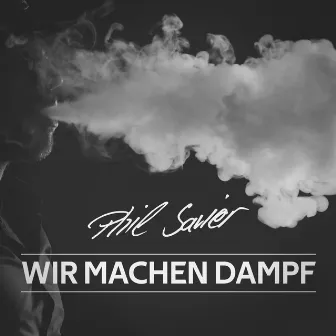 Wir machen Dampf (Dampfersong) by Phil Savier