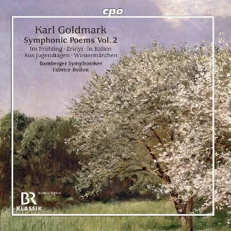 Goldmark: Symphonic Poems, Vol. 2 by Karl Goldmark