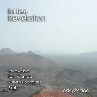 Revelation (Remixes) by DJ Bee