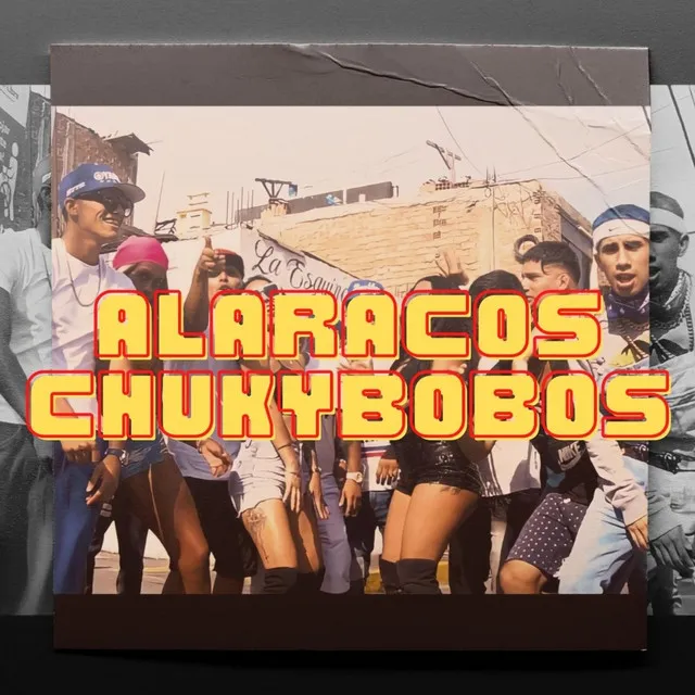 Alaracos Chukybobos