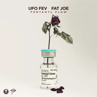 Fentanyl Flow (feat. Fat Joe) [Radio Edit] by UFO Fev