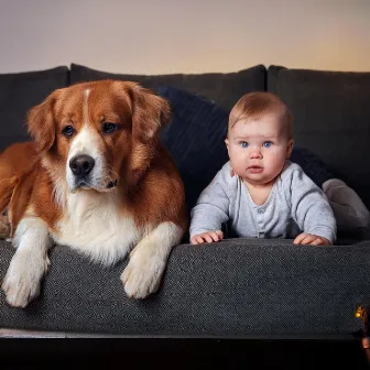 Armonía De Mascotas Del Bebé: Melodías Para Compañeros by Fuera del bosque