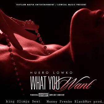 What you want by Huero Lowko