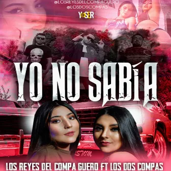 Yo No Sabia by Los Reyes Del Tololoche