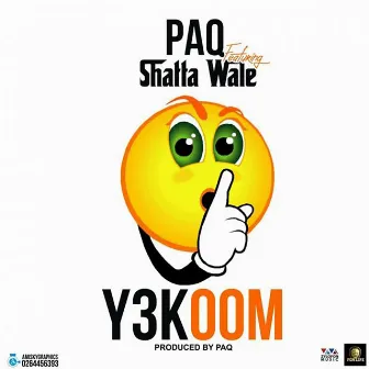 Y3koom by Paq