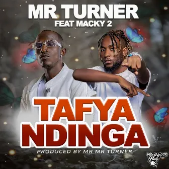 Tafyandinga by Mr Turner