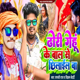 Dhori Gehu Ke Bal Se Chhilail Ba by Vikram Bedardi