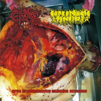 Opus Of Horrendous Grinding Sessions by Coprophagic Dysentery