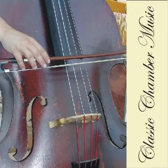 Classic Chamber Music by The Vienna Chamber Ensemble