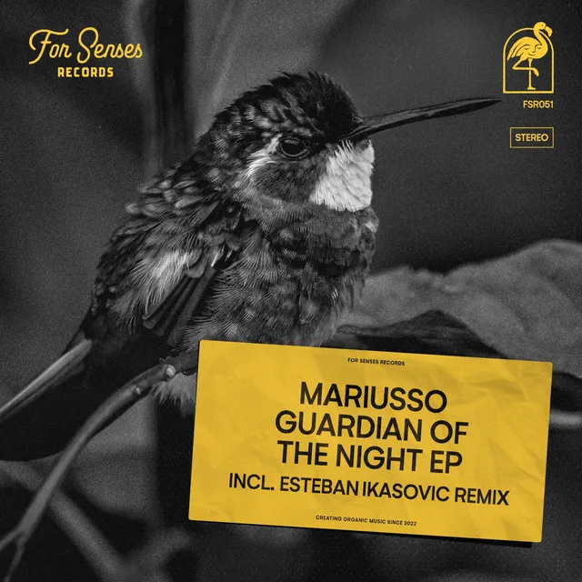 Guardian of the Night - Esteban Ikasovic Remix