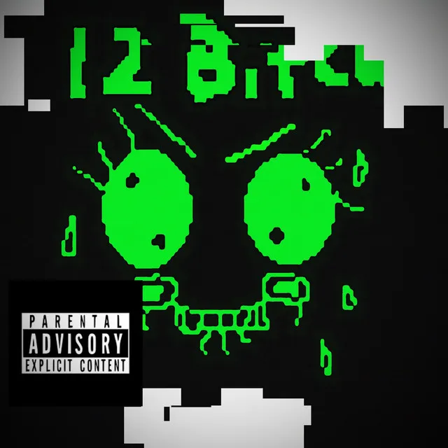 12 Bit(ch)