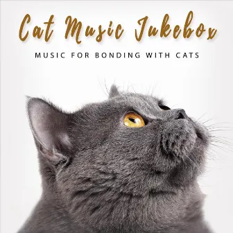 Music for Bonding with Cats by Cat Music Jukebox