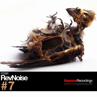 #7 by RevNoise