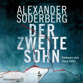 Der zweite Sohn (Die Sophie-Brinkmann-Trilogie 2) by Vera Teltz