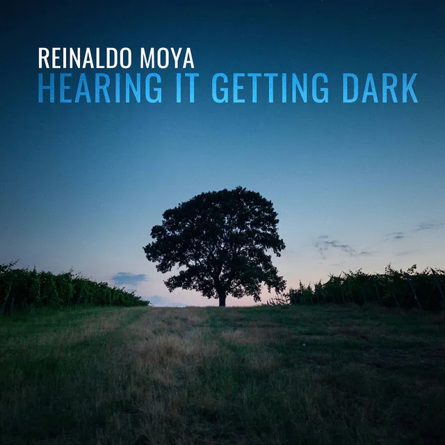 Reinaldo Moya: Hearing It Getting Dark