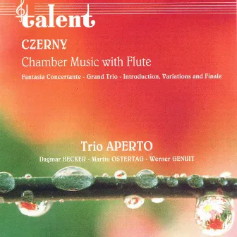 Czerny: Chamber Music with Flute by Trio Aperto