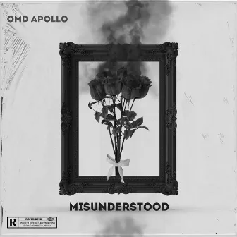 Misunderstood by OMD Apollo