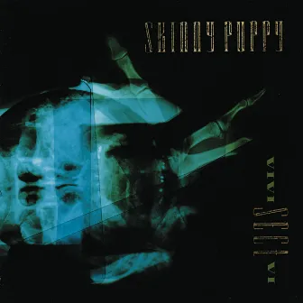 VIVI SECT VI by Skinny Puppy