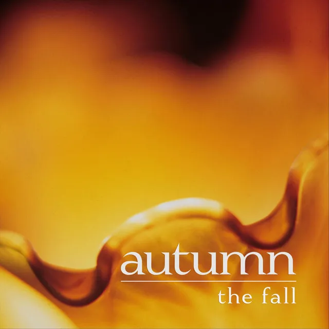 The Fall (Broken Remix)