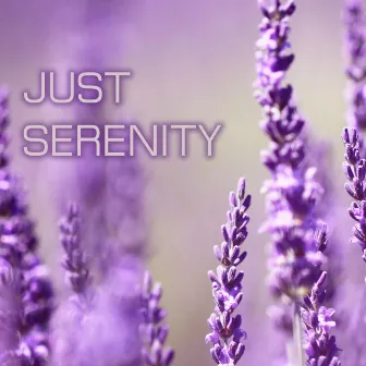 Just Serenity - Soothing Relaxation Songs by Serenity Music Ensamble