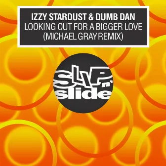 Looking Out For A Bigger Love (Michael Grey Remix) by Michael Gray