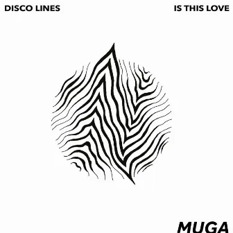 Is This Love by Disco Lines