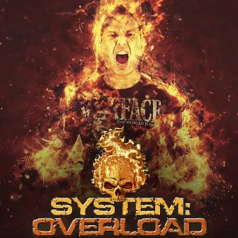 System Overload by System Overload