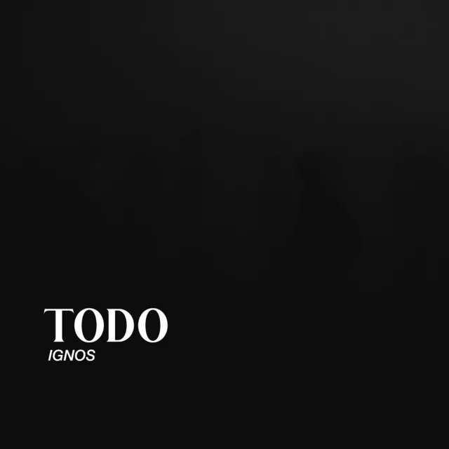 Todo