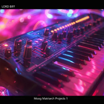 Moog Matriarch Projects 1 by Lord Biff