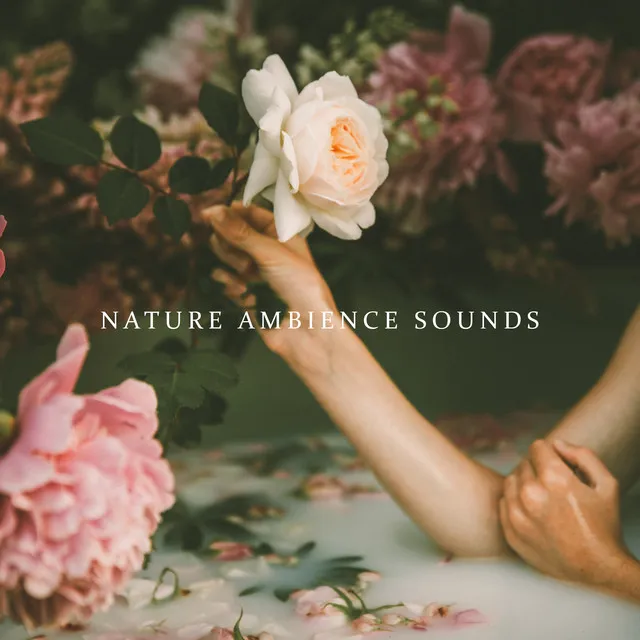 Nature Ambience Sounds for Spa, Wellness, Sauna and Bath