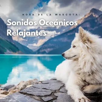 Hora De La Mascota: Sonidos Oceánicos Relajantes by Atmósferas oceánicas