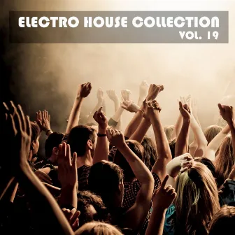 Electro House Collection, Vol. 19 by Electro Suspects