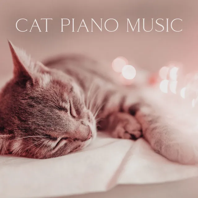 Cat Piano Music – Relaxing Cat Purring And Calming Melodies To Soothe Cats & Humans