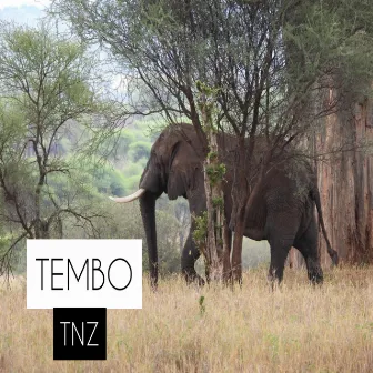 TEMBO by TNZ