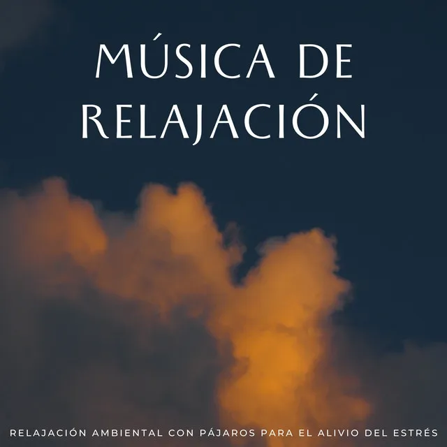 Música De Relajación: Relajación Ambiental Con Pájaros Para El Alivio Del Estrés