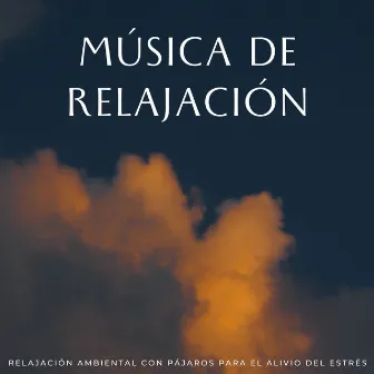 Música De Relajación: Relajación Ambiental Con Pájaros Para El Alivio Del Estrés by Los Pájaros Cantores