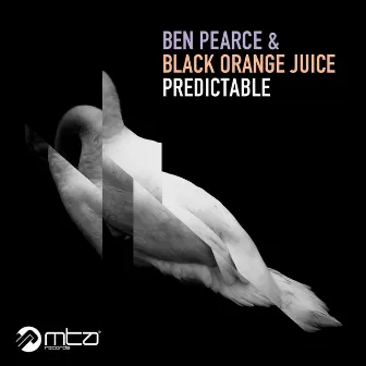 Predictable by Ben Pearce