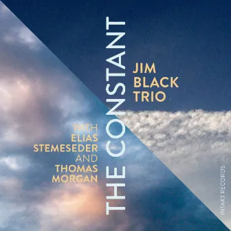 The Constant by Jim Black Trio