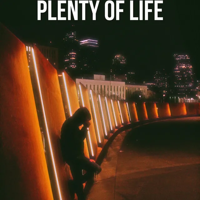 Plenty Of Life